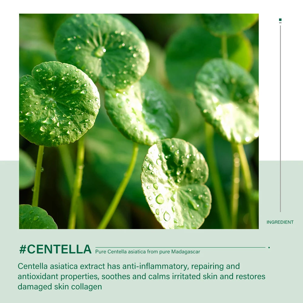 Centella Skin Care Set (5 Pieces)